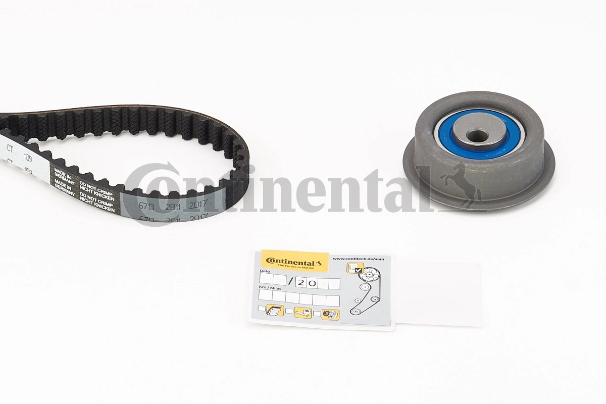 Set sabuk waktu CT1109K1