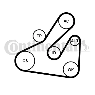 Water Pump + V-Ribbed Belt Kit 5PK1745WP1