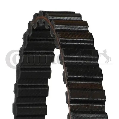 Timing Belt CT833