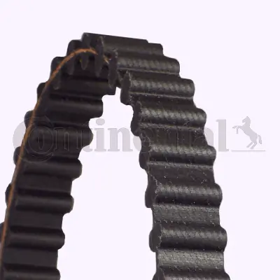 Timing Belt CT925