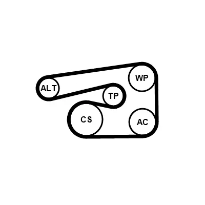 V-Ribbed Belt Set 5PK1546K1