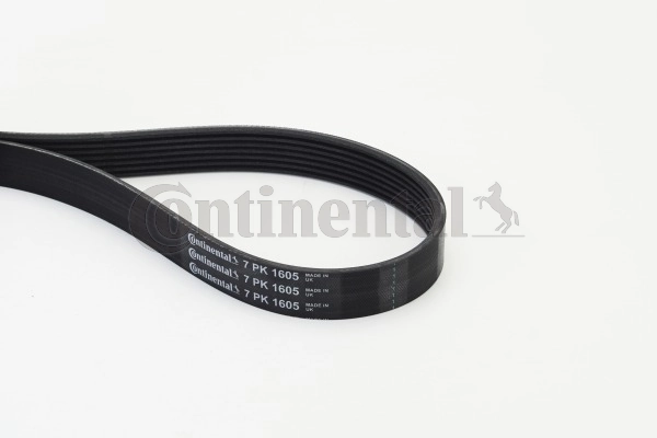 V-Ribbed Belt 7PK1605