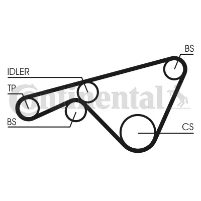 Timing Belt CT925