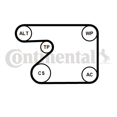 CONTINENTAL CTAM 5PK1680K1 V-Ribbed Belt Set