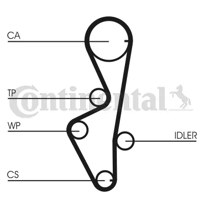 CONTINENTAL CTAM CT916 Timing Belt