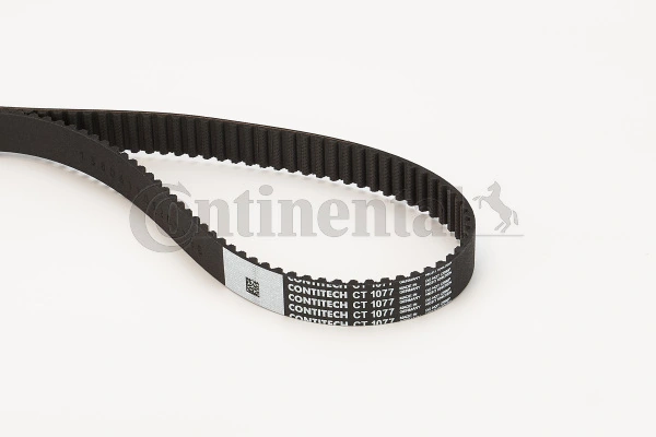 Timing Belt CT1077