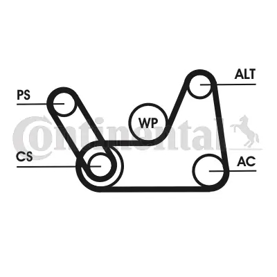 V-Ribbed Belt Set 6PK1019 ELAST T1