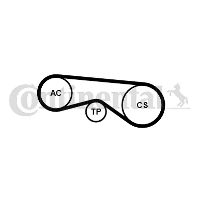 V-Ribbed Belt Set 5PK865K1