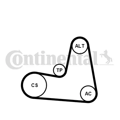 V-Ribbed Belt Set 7PK1125K1