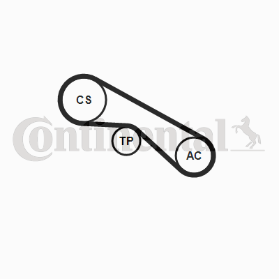 CONTINENTAL CTAM 5PK875K1 V-Ribbed Belt Set