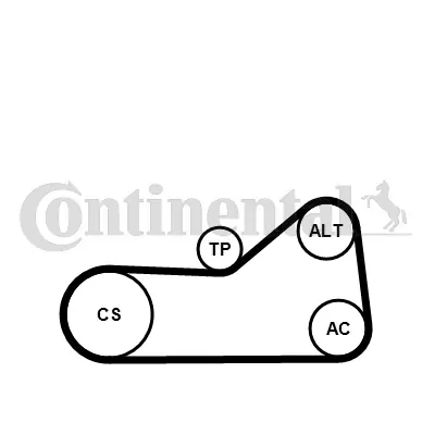 CONTINENTAL CTAM 6PK976K3 V-Ribbed Belt Set