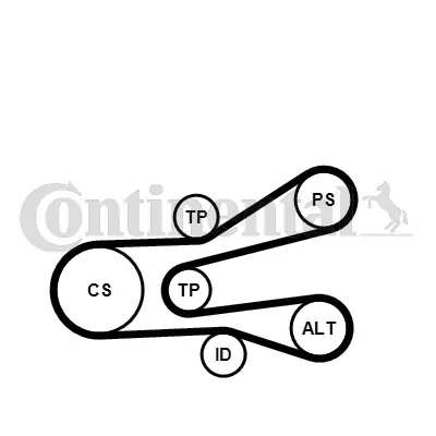 CONTINENTAL CTAM 6PK1440K1 V-Ribbed Belt Set