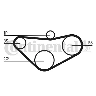 Timing Belt CT800