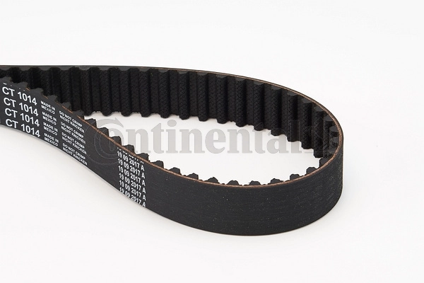 Timing Belt CT1014