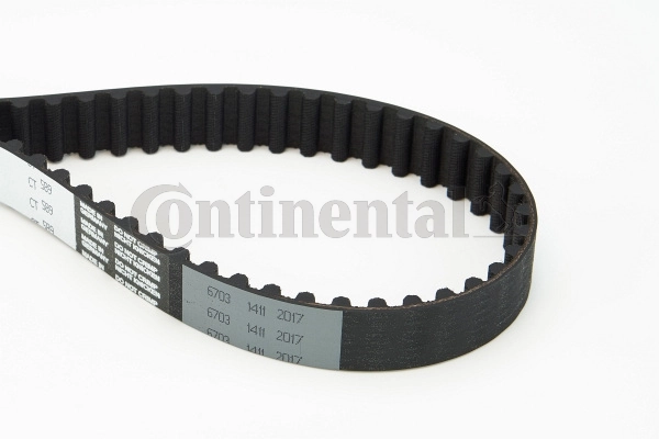 Timing Belt CT589