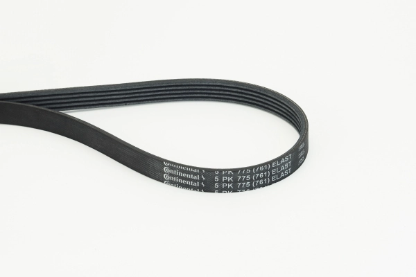 V-Ribbed Belt 5PK775 ELAST