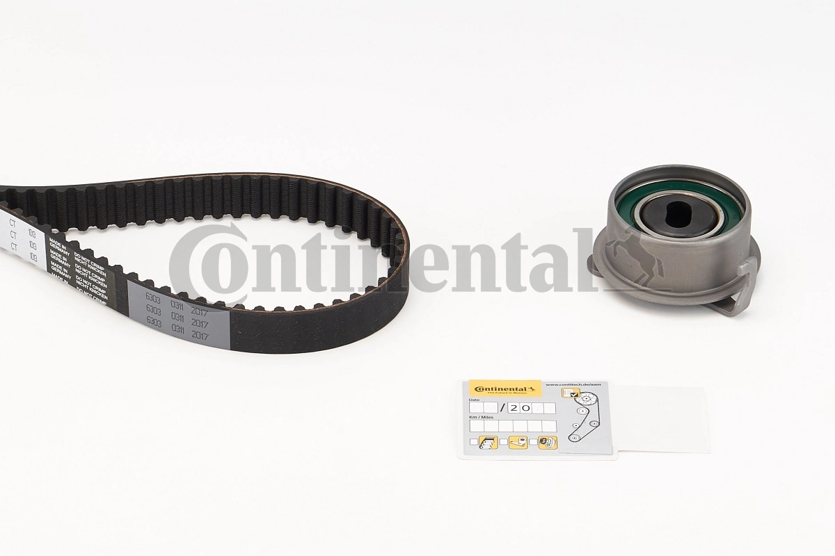 Timing Belt Kit CT1013K1