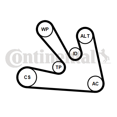 CONTINENTAL CTAM 7PK1687WP1 Water Pump + V-Ribbed Belt Kit