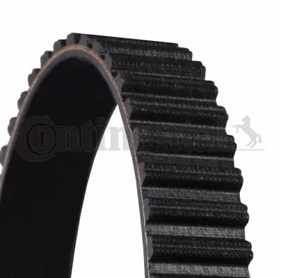 Timing Belt CT955