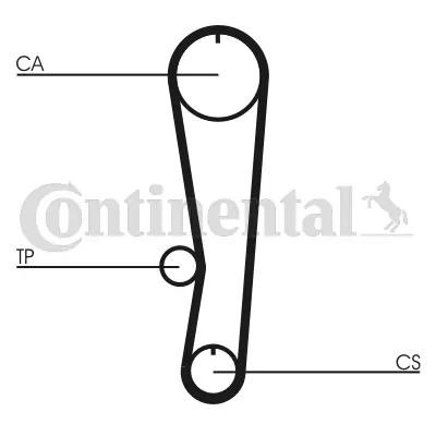 Timing Belt CT895