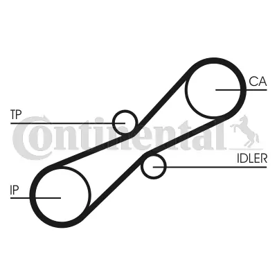 Timing Belt CT791