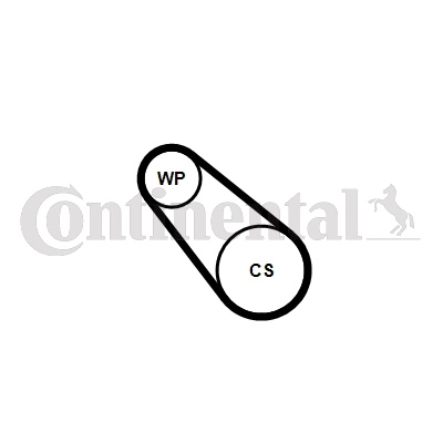 Water Pump + V-Ribbed Belt Kit 3PK576 ELAST WP2