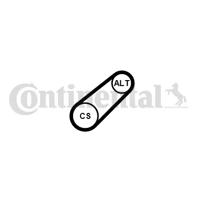 V-Ribbed Belt 6PK701 ELAST