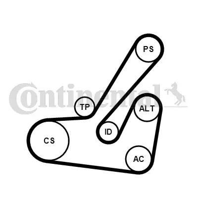 CONTINENTAL CTAM 6PK1145K2 V-Ribbed Belt Set