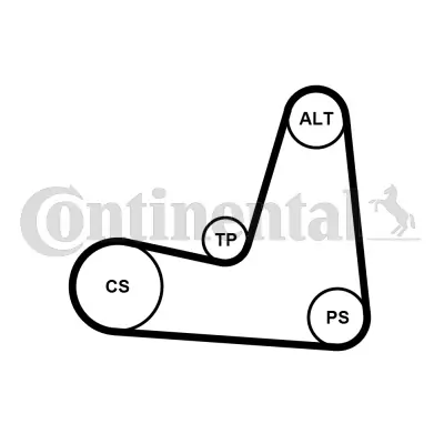 CONTINENTAL CTAM 5PK1135K1 V-Ribbed Belt Set