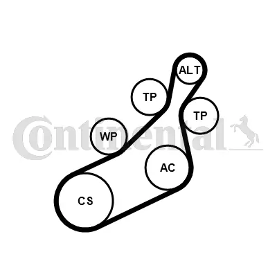 CONTINENTAL CTAM 8PK1122 EXTRA K1 V-ribbed Belt Set