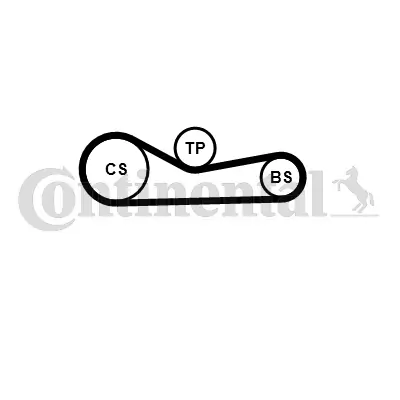 CONTINENTAL CTAM CT1232 Timing Belt