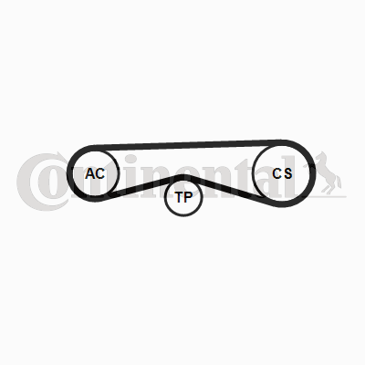 CONTINENTAL CTAM 4PK970K1 V-Ribbed Belt Set