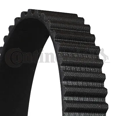 Timing Belt CT732