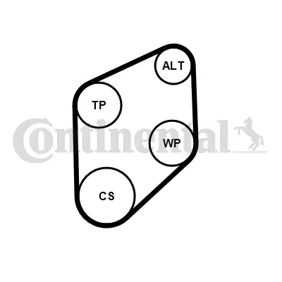 V-Ribbed Belt Set 4PK800K1