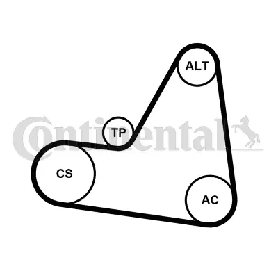 CONTINENTAL CTAM 6PK1680K1 V-Ribbed Belt Set