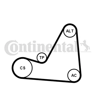 CONTINENTAL CTAM 6PK1070K3 V-ribbed Belt Set