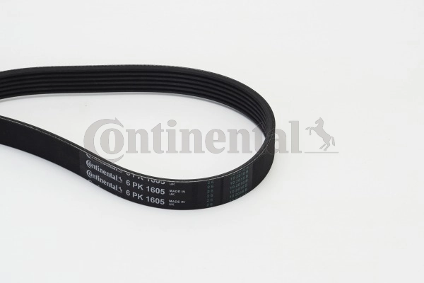 V-Ribbed Belt 6PK1605