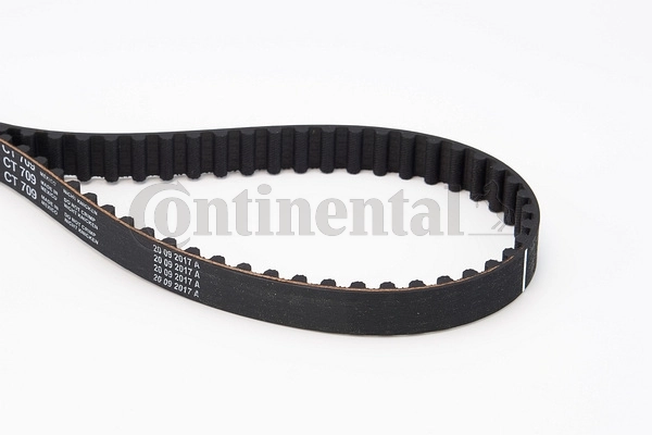 Timing Belt CT709