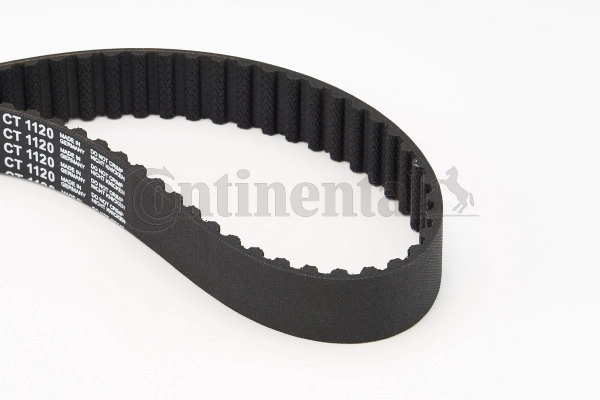 Timing Belt CT1120
