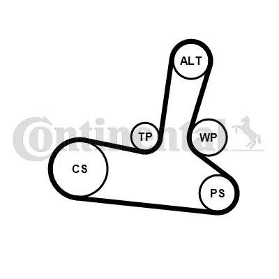 Water Pump + V-Ribbed Belt Kit 5PK1300WP1