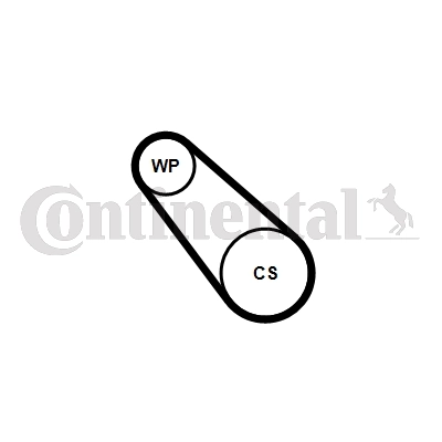 CONTINENTAL CTAM 3PK725 ELAST WP1 Water Pump + V-ribbed Belt Kit