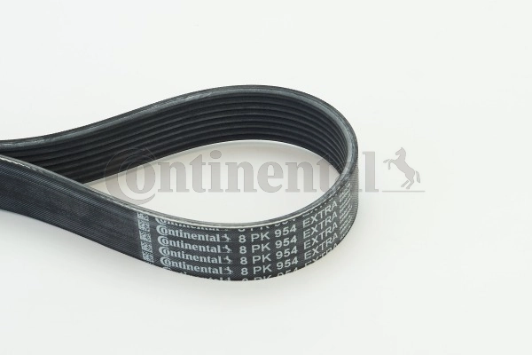 V-Ribbed Belt 8PK954 EXTRA