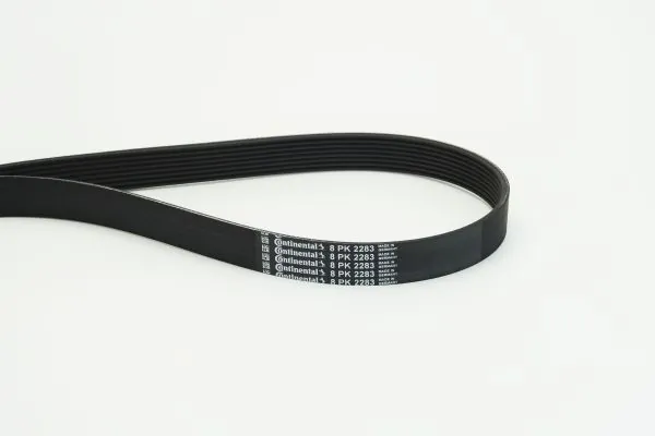 V-Ribbed Belt 8PK2283
