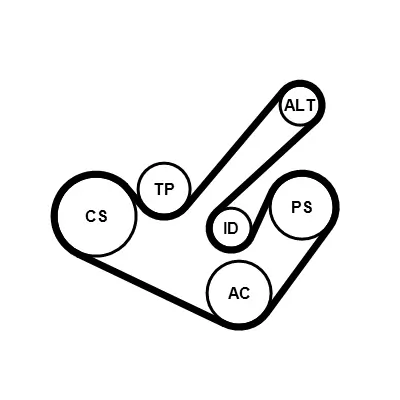 V-Ribbed Belt Set 6PK1555K9