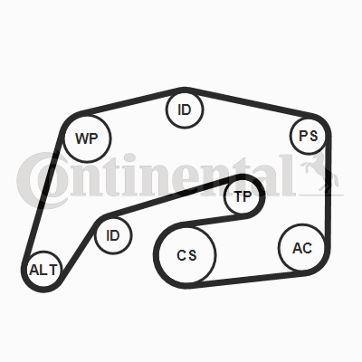 V-Ribbed Belt Set 8PK2035K1