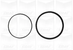 Water Pump, engine cooling PA695