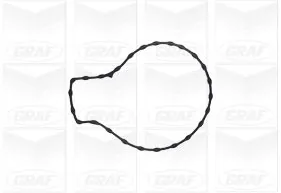 Water Pump, engine cooling PA1134