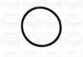 GRAF PA1084 Water Pump, engine cooling