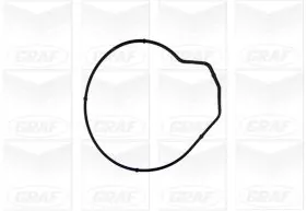 Water Pump, engine cooling PA855