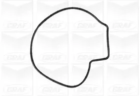 Water Pump, engine cooling PA1252